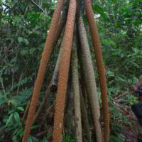 Kolumbia2016 - Wyprawa_do_Kolumbii_2016_26.jpg
