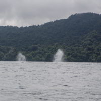 Kolumbia2016 - Wyprawa_do_Kolumbii_2016_276.jpg