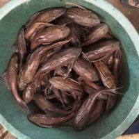 Kolumbia2016 - Wyprawa_do_Kolumbii_2016_362.jpg
