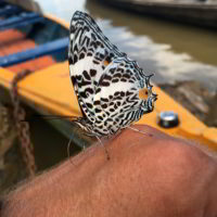 Kolumbia2016 - Wyprawa_do_Kolumbii_2016_363.jpg