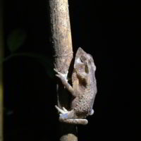 Kolumbia2016 - Wyprawa_do_Kolumbii_2016_364.jpg