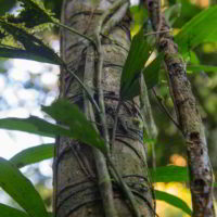 Kolumbia2016 - Wyprawa_do_Kolumbii_2016_55.jpg