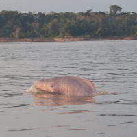 Kolumbia2016 - Wyprawa_do_Kolumbii_2016_98.jpg