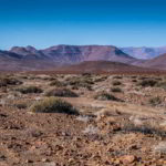 Namibia czerwone piaski pustyni - Namibia_Czerwone_piaski_pustyni_2.jpg