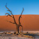 Namibia czerwone piaski pustyni - Namibia_Czerwone_piaski_pustyni_23.jpg
