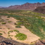 Namibia czerwone piaski pustyni - Namibia_Czerwone_piaski_pustyni_3.jpg