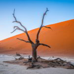 Namibia czerwone piaski pustyni - Namibia_Czerwone_piaski_pustyni_36.jpg