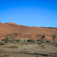 Namibia2015 - Namibia_2015_184.jpg