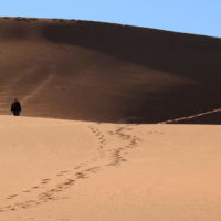 Namibia2016 - Wyprawa_do_Namibii_2016_186.jpg