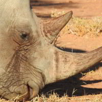 Namibia2016 - Wyprawa_do_Namibii_2016_80.jpg