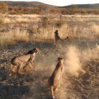 Namibia2016 - Wyprawa_do_Namibii_2016_85.jpg