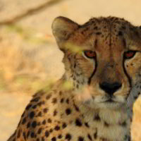 Namibia2016 - Wyprawa_do_Namibii_2016_86.jpg