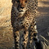 Namibia2016 - Wyprawa_do_Namibii_2016_87.jpg