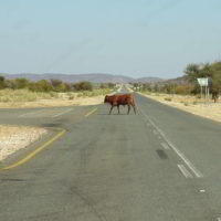 Namibia2016 - Wyprawa_do_Namibii_2016_89.jpg