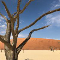 Namibia2017_jesien - Namibia2017_jesien_13.jpg