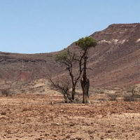 Namibia2017_jesien - Namibia2017_jesien_41.jpg