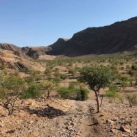 Namibia2017_jesien - Namibia2017_jesien_42.jpg
