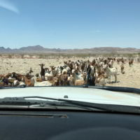 Namibia2017_jesien - Namibia2017_jesien_45.jpg