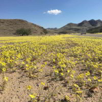 Namibia2017_wiosna - Namibia2017_wiosna_34.jpg