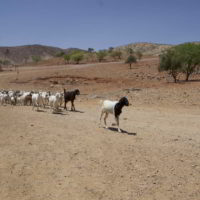 Namibia2018jesien - Wyprawa_do_Namibia_jesien_2018_35.jpg