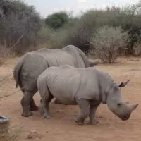 Namibia2018jesien photo Namibia2018jesien - Wyprawa_do_Namibia_jesien_2018_59.jpg