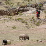 Peru2017 - Wyprawa_do_Peru_2017_161.jpg