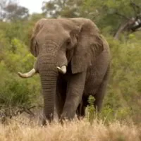 Sylwester_w_Mozambiku - Sylwester_w_Mozambiku_19.jpg