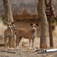 Togo2012 - Togo_2012_109.jpg