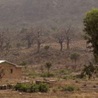 Togo2012 - Togo_2012_188.jpg
