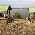 uganda2018 - Wyprawa_do_Ugandy_2018_63.jpg
