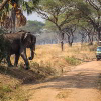 Uganda_Rwanda_2017 - Uganda-i-Rwanda_2017_97.jpg