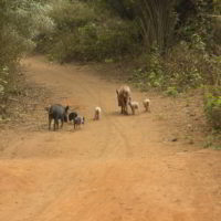 benin2012 - Wyprawa_do_Beninu_-2012_37.jpg