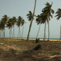 benin2012 - Wyprawa_do_Beninu_-2012_56.jpg