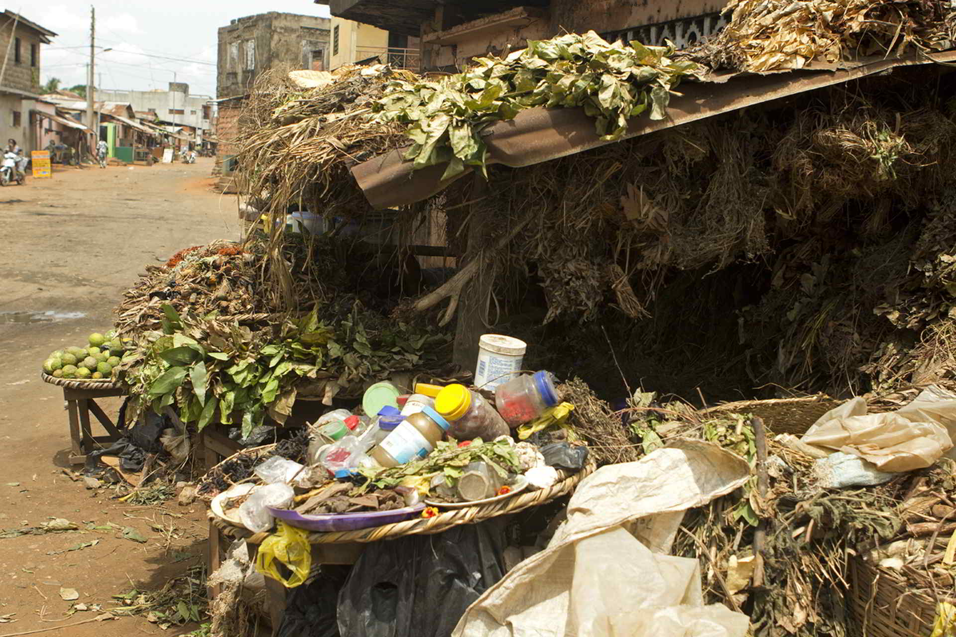 benin2012 - Wyprawa_do_Beninu_-2012_81.jpg