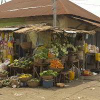 benin2012 - Wyprawa_do_Beninu_-2012_87.jpg