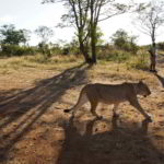 namibia-2014 - Wyprawa_do_Namibii_2014_610.jpg