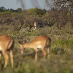 namibia-2014 - Wyprawa_do_Namibii_2014_621.jpg