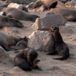 namibia-2014 - Wyprawa_do_Namibii_2014_627.jpg