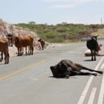 namibia-2014 - Wyprawa_do_Namibii_2014_657.jpg