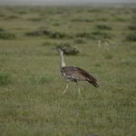 namibia-2014 - Wyprawa_do_Namibii_2014_674.jpg