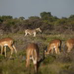 namibia-2014 - Wyprawa_do_Namibii_2014_686.jpg