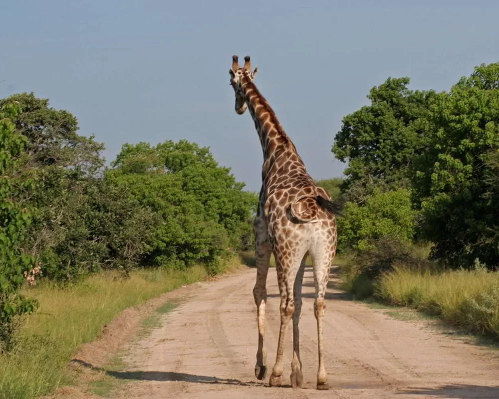southern-africa-2013 - Southern_Africa_143.jpg