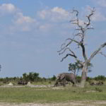 southern-africa-2013 - Southern_Africa_151.jpg