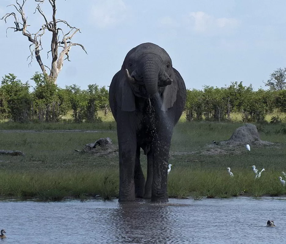 southern-africa-2013 - Southern_Africa_152.jpg