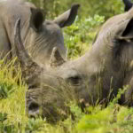 southern-africa-2013 - Southern_Africa_295.jpg
