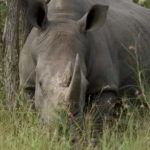 southern-africa-2013 - Southern_Africa_296.jpg
