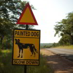 southern-africa-2013 - Southern_Africa_4.jpg