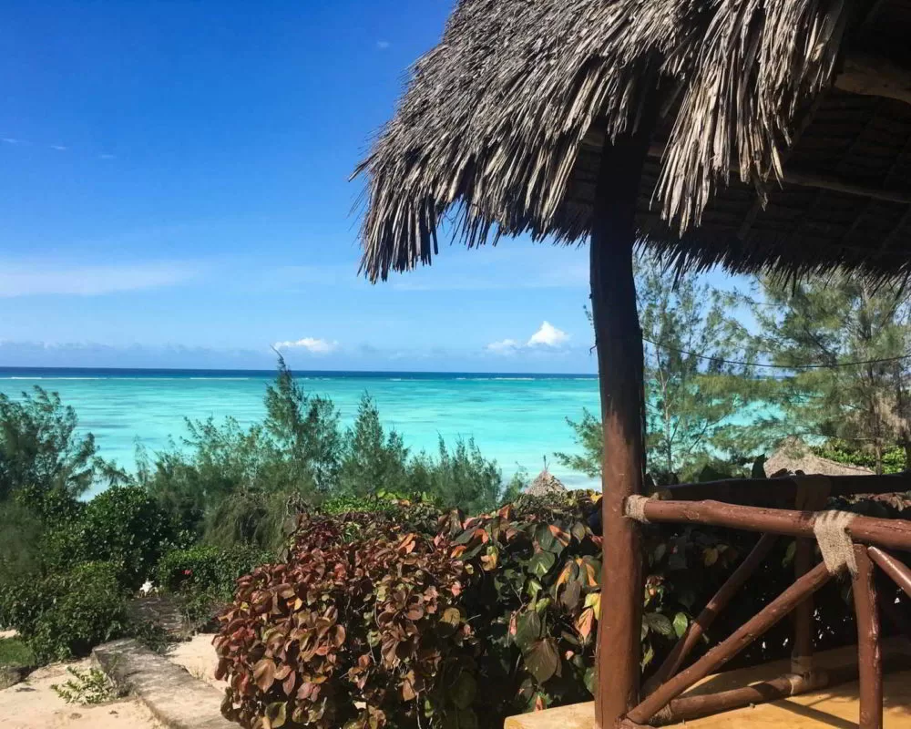 zanzibar2017 - Wyprawa_na_Zanzibar_37.jpg